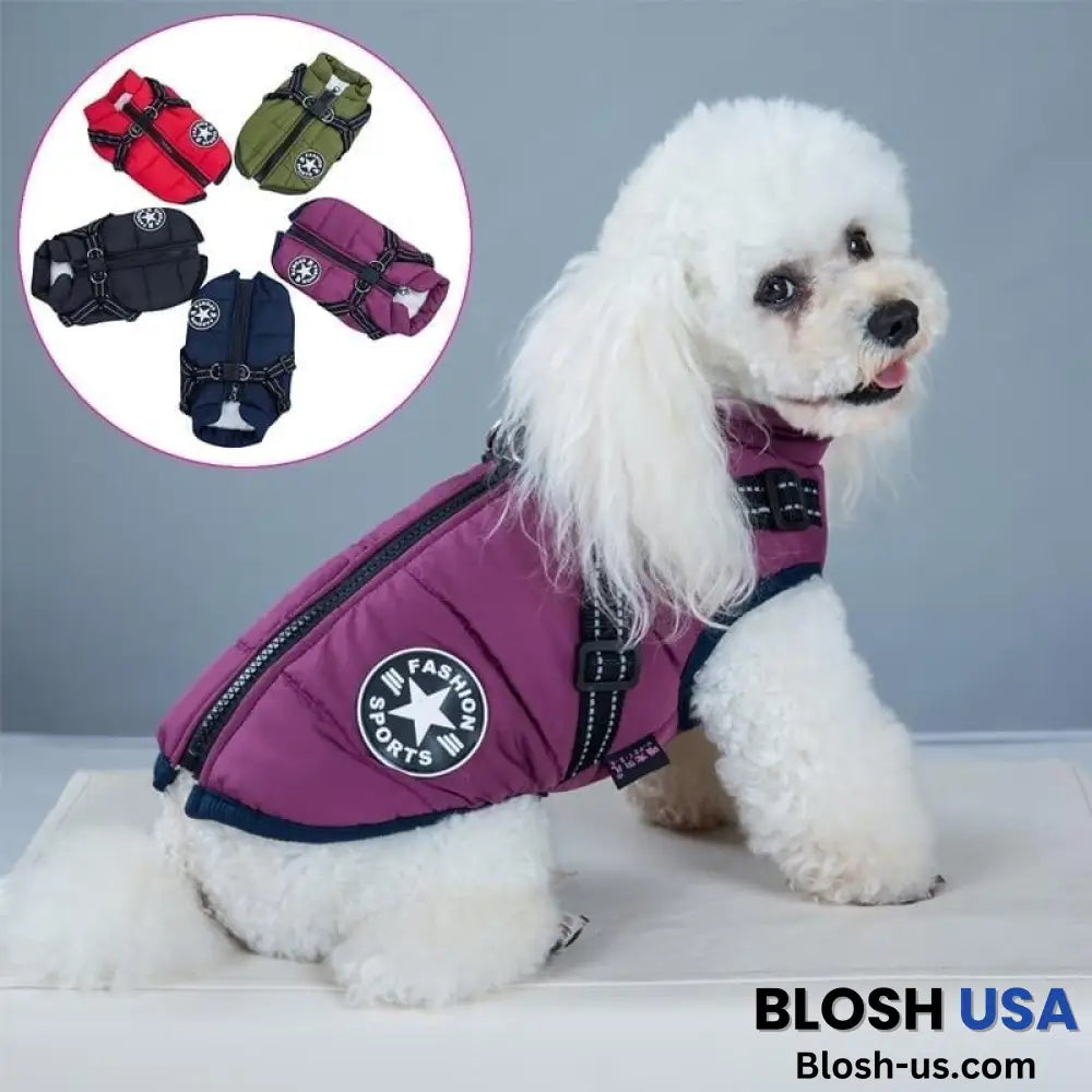 Waterproof Winter Dog Jacket With Built-In Harness