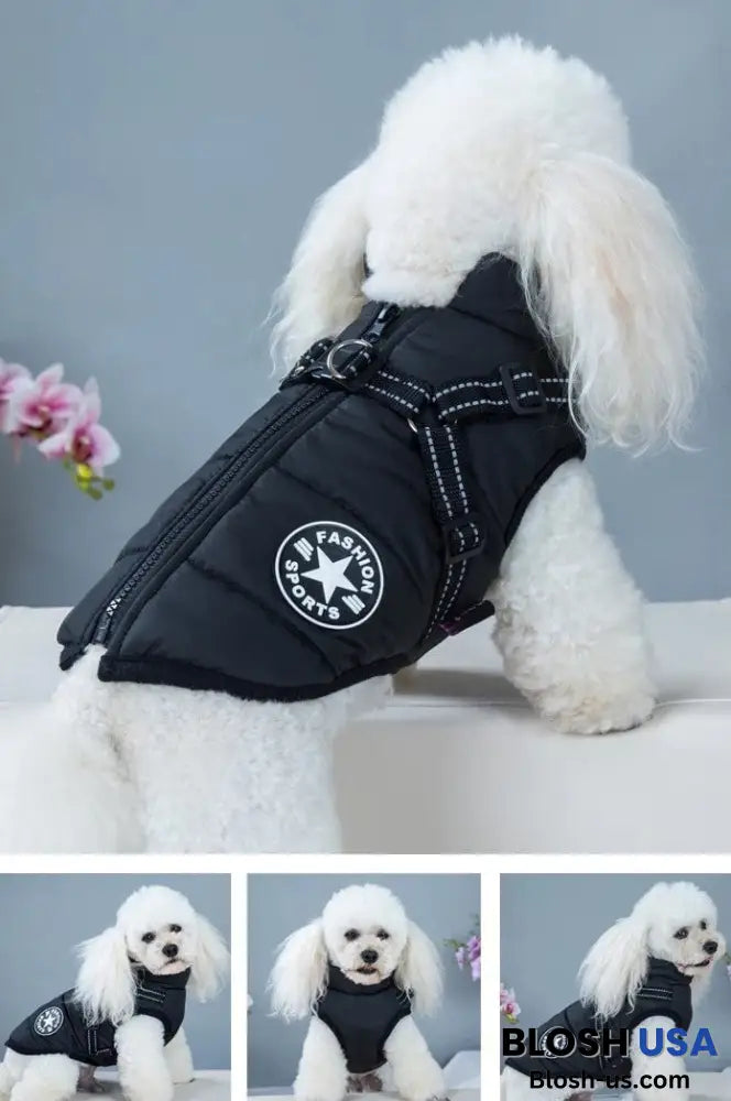 Waterproof Winter Dog Jacket With Built-In Harness