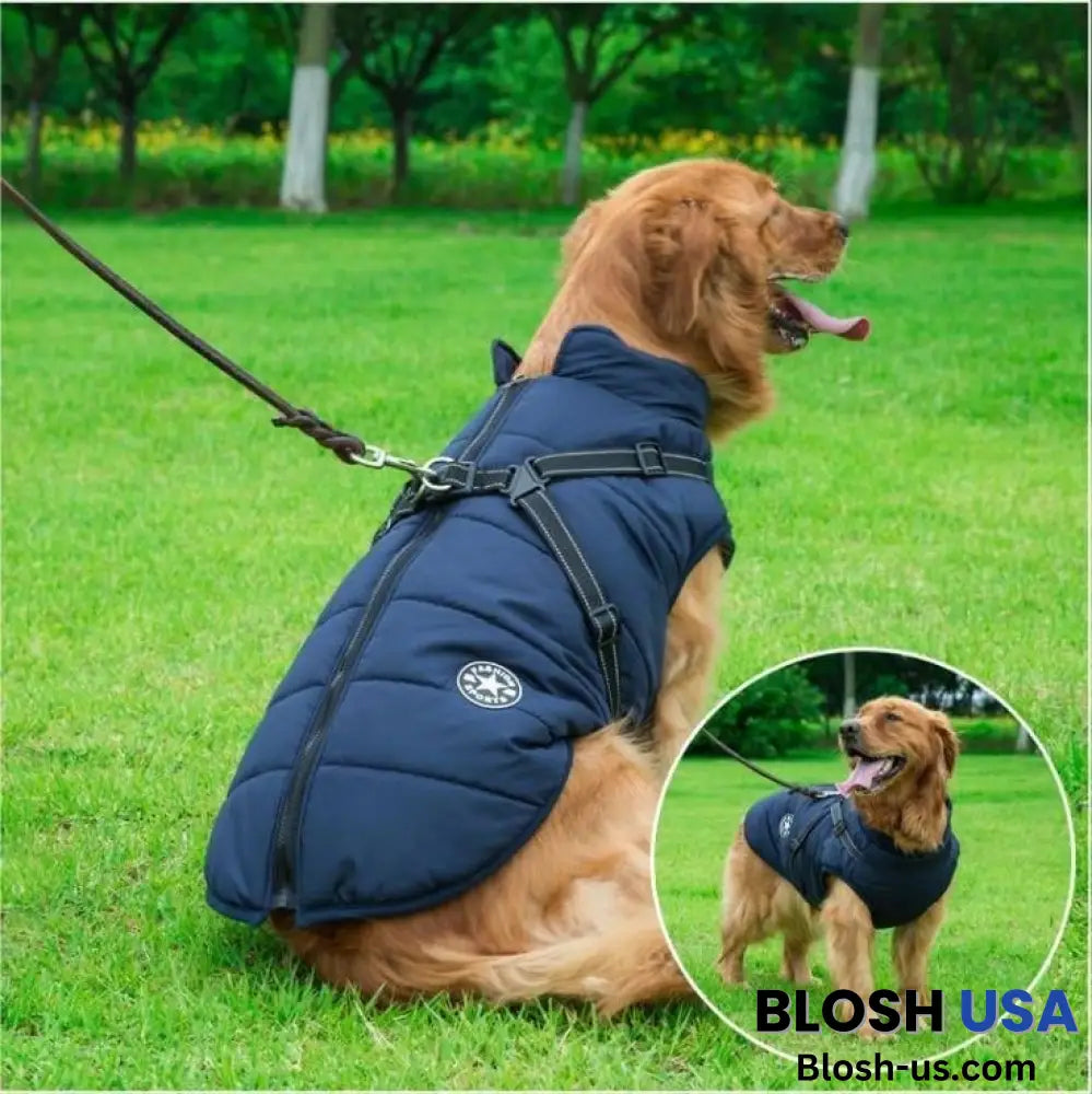 Waterproof Winter Dog Jacket With Built-In Harness