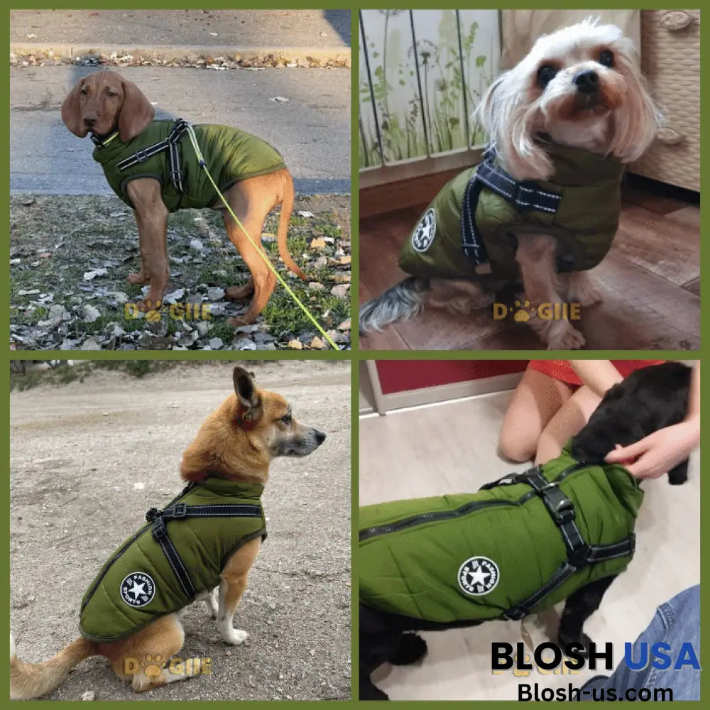 Waterproof Winter Dog Jacket With Built-In Harness