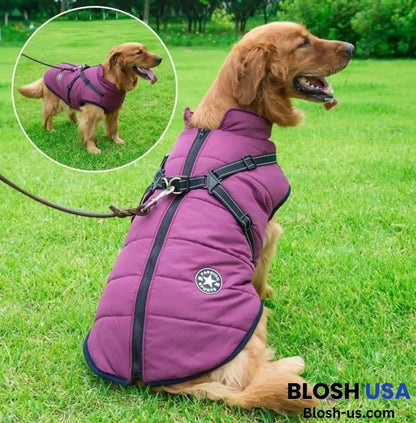 Waterproof Winter Dog Jacket With Built-In Harness