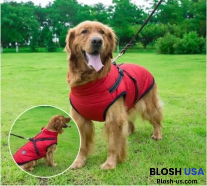 Waterproof Winter Dog Jacket With Built-In Harness