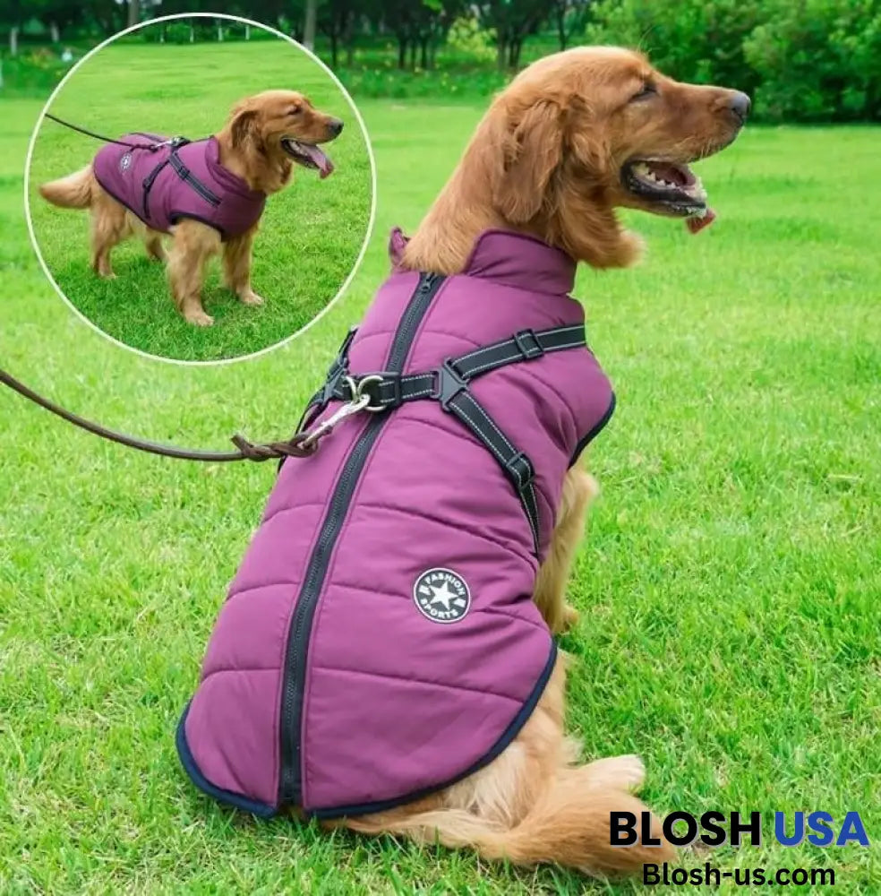 Waterproof Winter Dog Jacket With Built-In Harness Purple / S