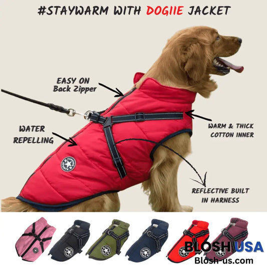 Waterproof Winter Dog Jacket With Built-In Harness Red / S